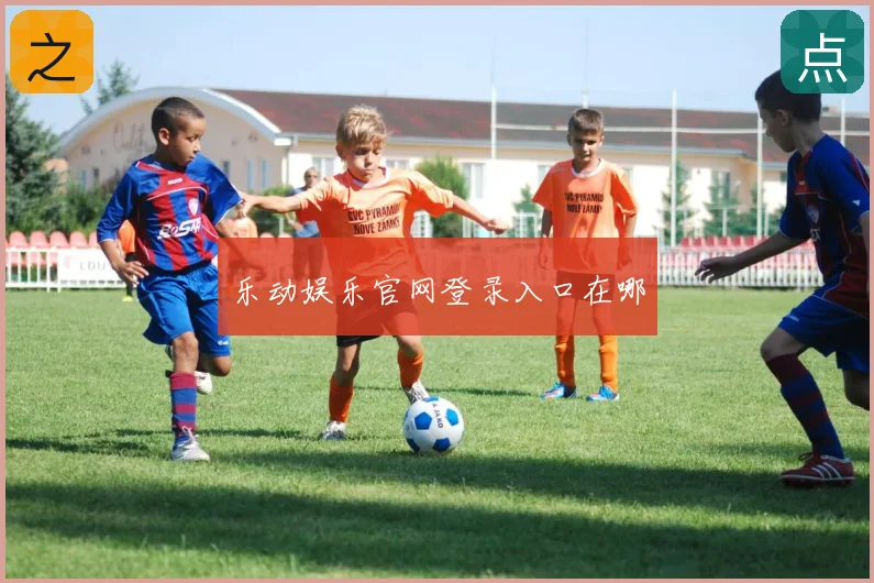 乐动娱乐官网登录入口在哪